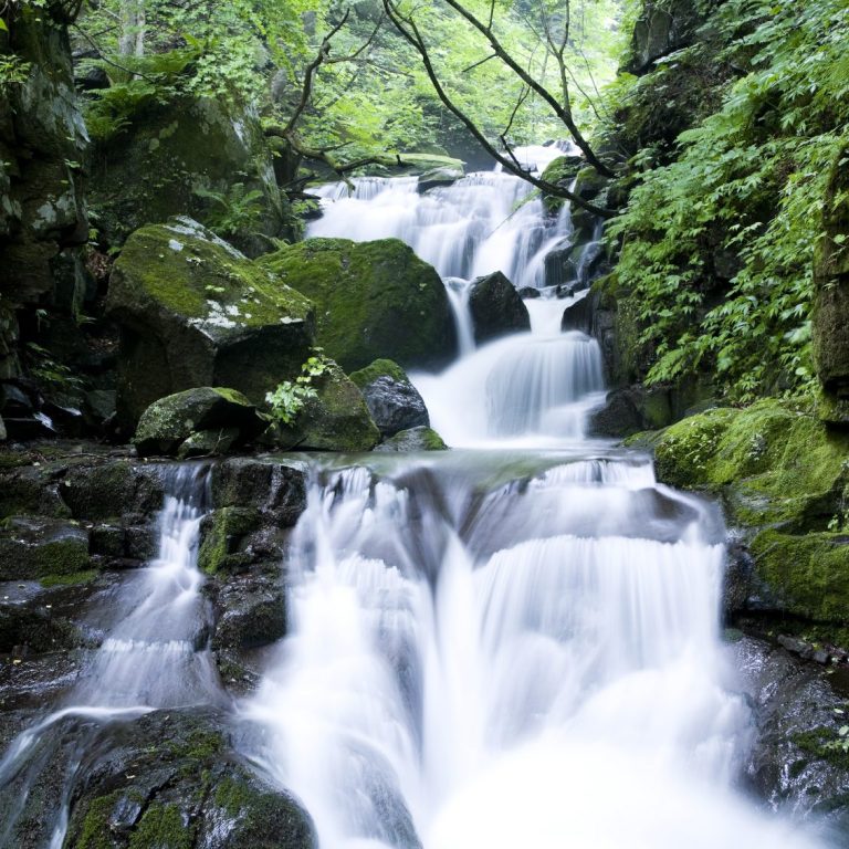 Ein Wasserfall fließt über bemooste Felsen in einen bewaldeten Bereich.