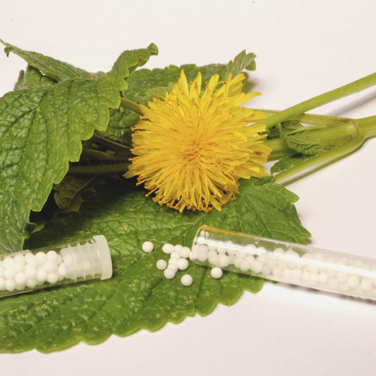 Gelbe Löwenzahnblüte auf einem Blatt mit zwei Röhrchen gefüllt mit homöopathischen Kügelchen.